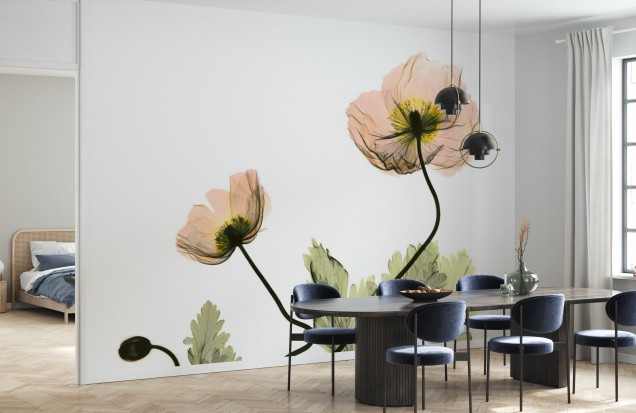 Fototapet Floral Iceland Poppy