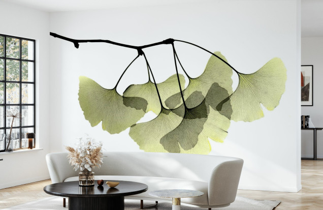 Fototapet Ginkgo Biloba, Photowall