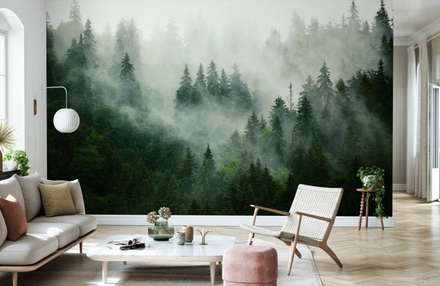 Fototapet Pădure În Ceata | Decor Natural