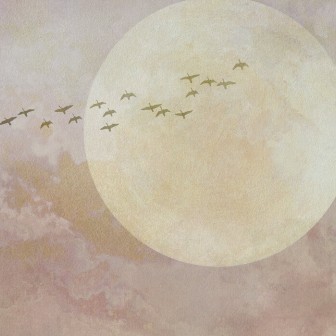 Wallpaper cu un design minimalist, cu păsări care zboară spre luna plină, pe un fundal pastelat.
