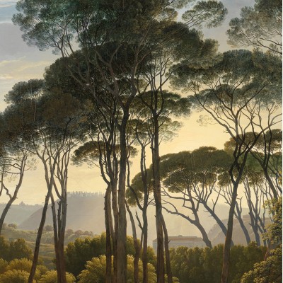 Tapet rotund Umbrella Pines in Italy cu un design elegant si unic, pentru un interior cu adevarat special.