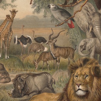 Tapet rotund cu animale din Africa, diametru 190 cm, imagini cu leul, girafa, elefantul și alte animale din Africa, decorativ pentru camera copilului, dormitor sau living
