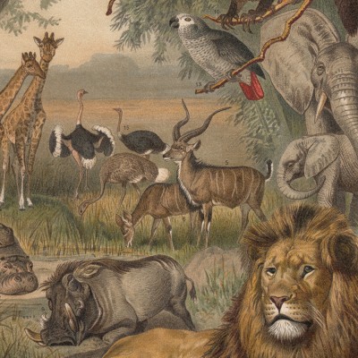 Tapet rotund cu animale din Africa, diametru 190 cm, imagini cu leul, girafa, elefantul și alte animale din Africa, decorativ pentru camera copilului, dormitor sau living