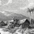 Landscape of Guadeloupe, 142.5cm diametru, WallArt