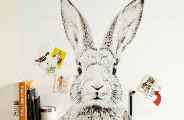 Tapet magnetic - Iepure - 62X265 cm