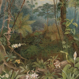 Fototapet rotund In the Jungle, cu un design exotic, montat pe un perete alb intr-o camera moderna